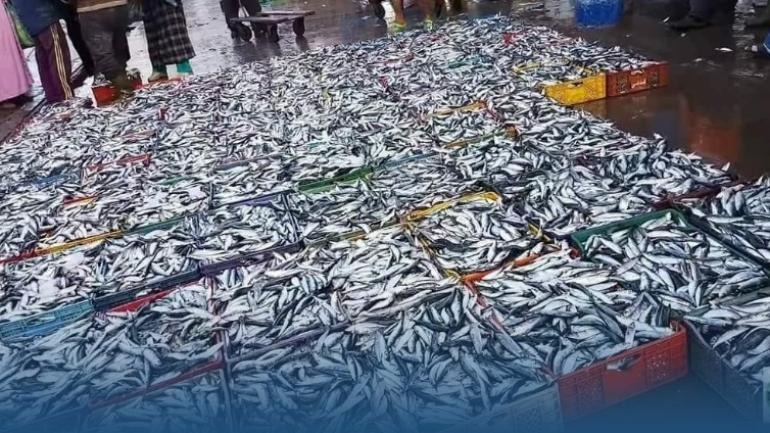 Capture-decran-2024-03-24-213739 (1)